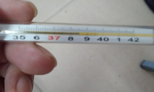 哪些中药对治疗白内障有效果呢-哪些中药对治疗白内障有效果-专业什么中药治白内障平台-治疗白内障的中药